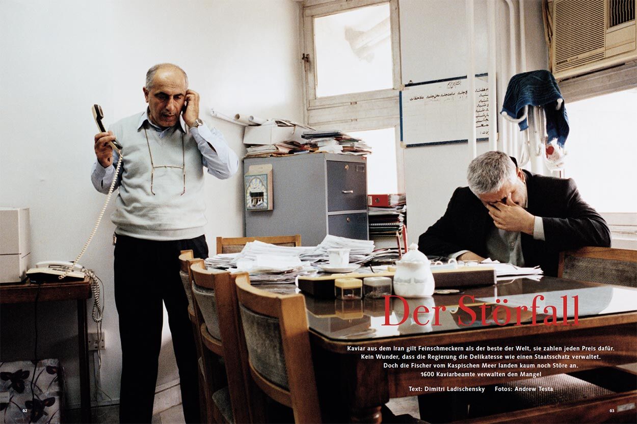 Kaviar I: Der Störfall