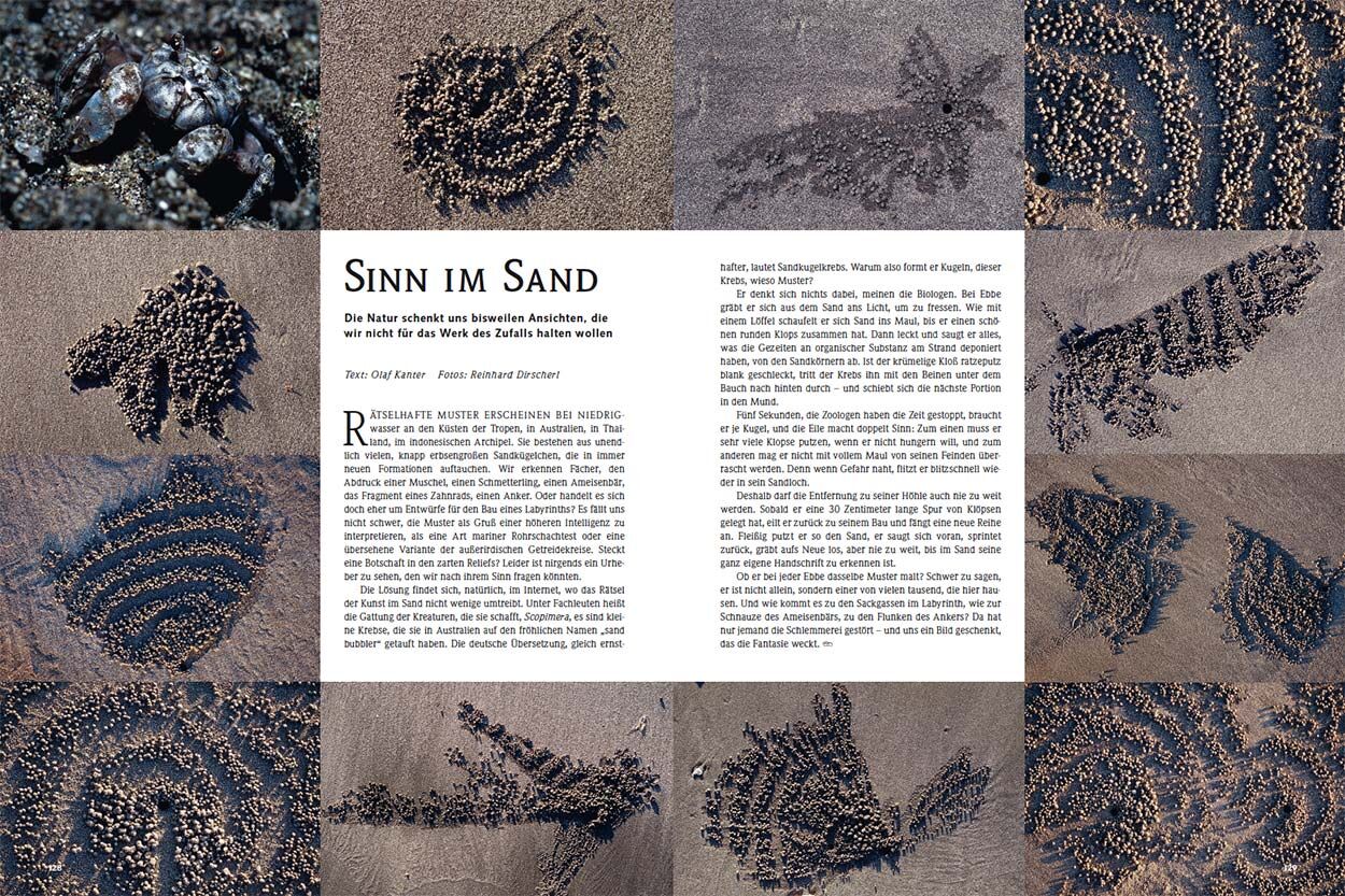 Sinn im Sand 