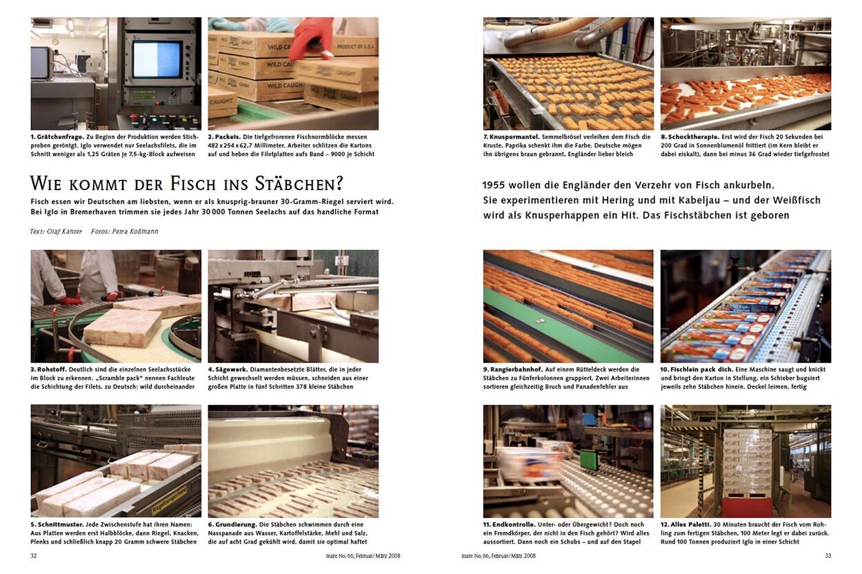 Wie kommt der Fisch ins Stäbchen?