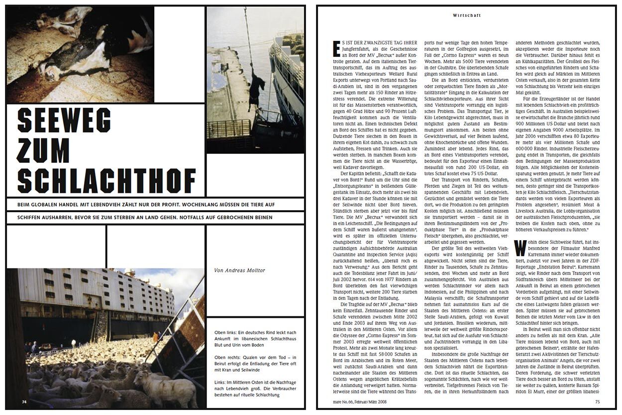 Seeweg zum Schlachthof