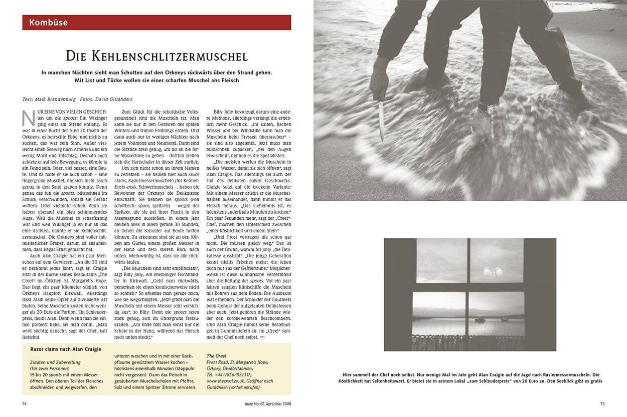 Die Kehlenschlitzermuschel