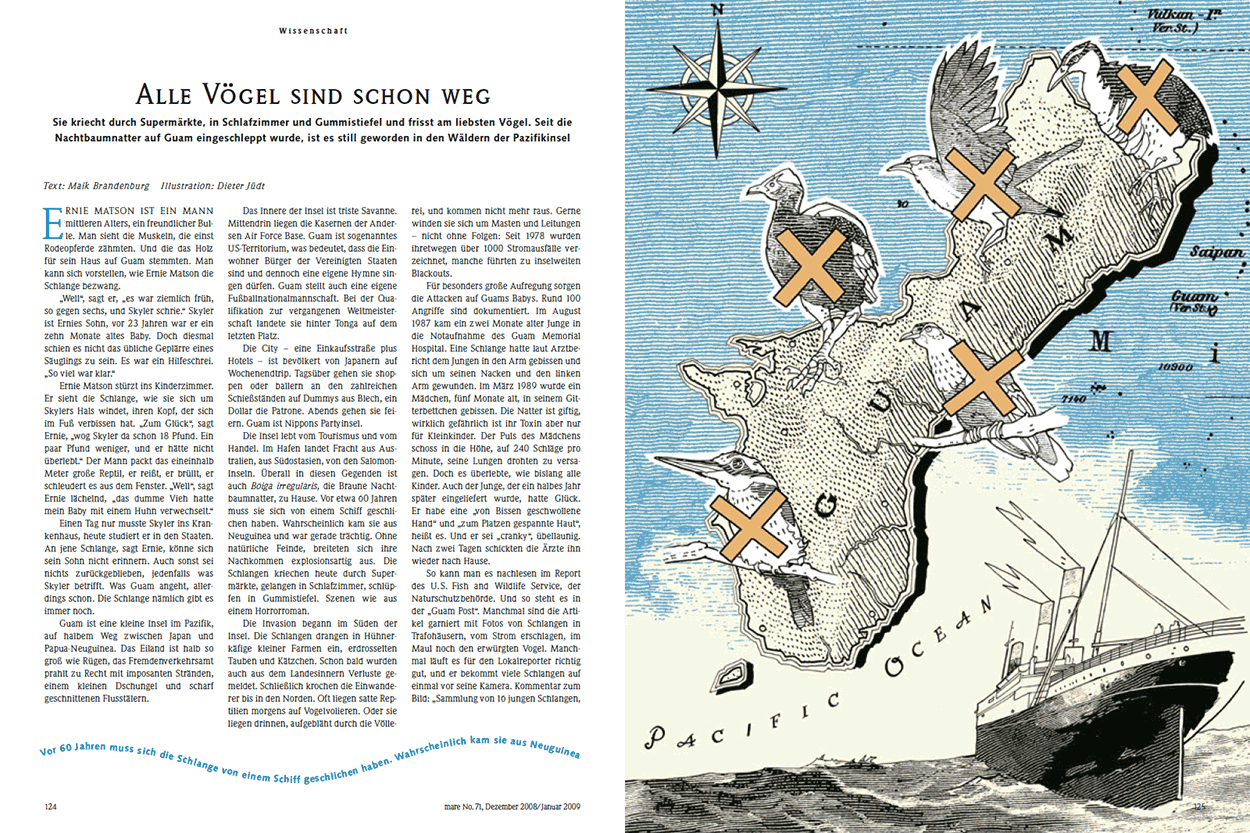 Alle Vögel sind schon weg