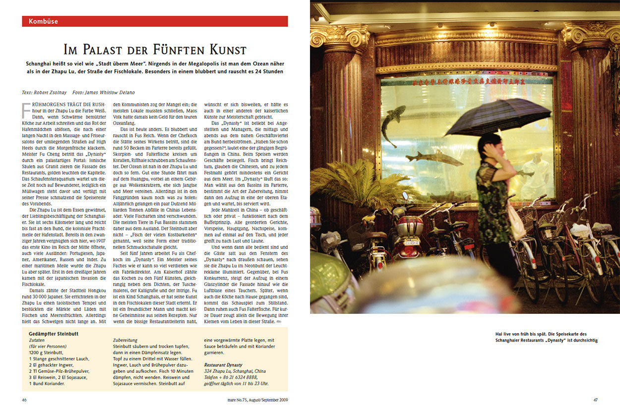 Im Palast der Fünften Kunst 