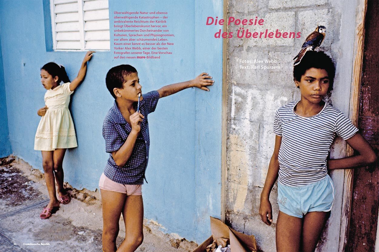 Poesie des Überlebens