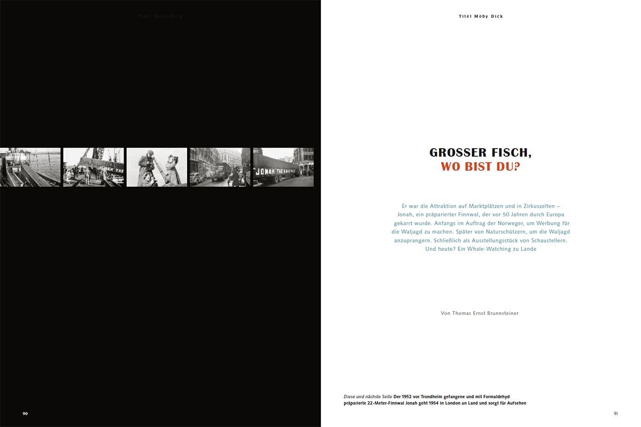 Grosser Fisch, wo bist du?