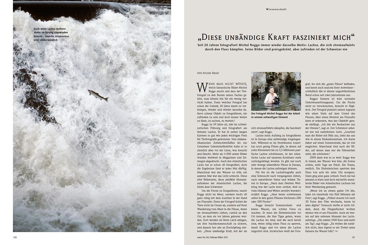 „Diese unbändige Kraft fasziniert mich“