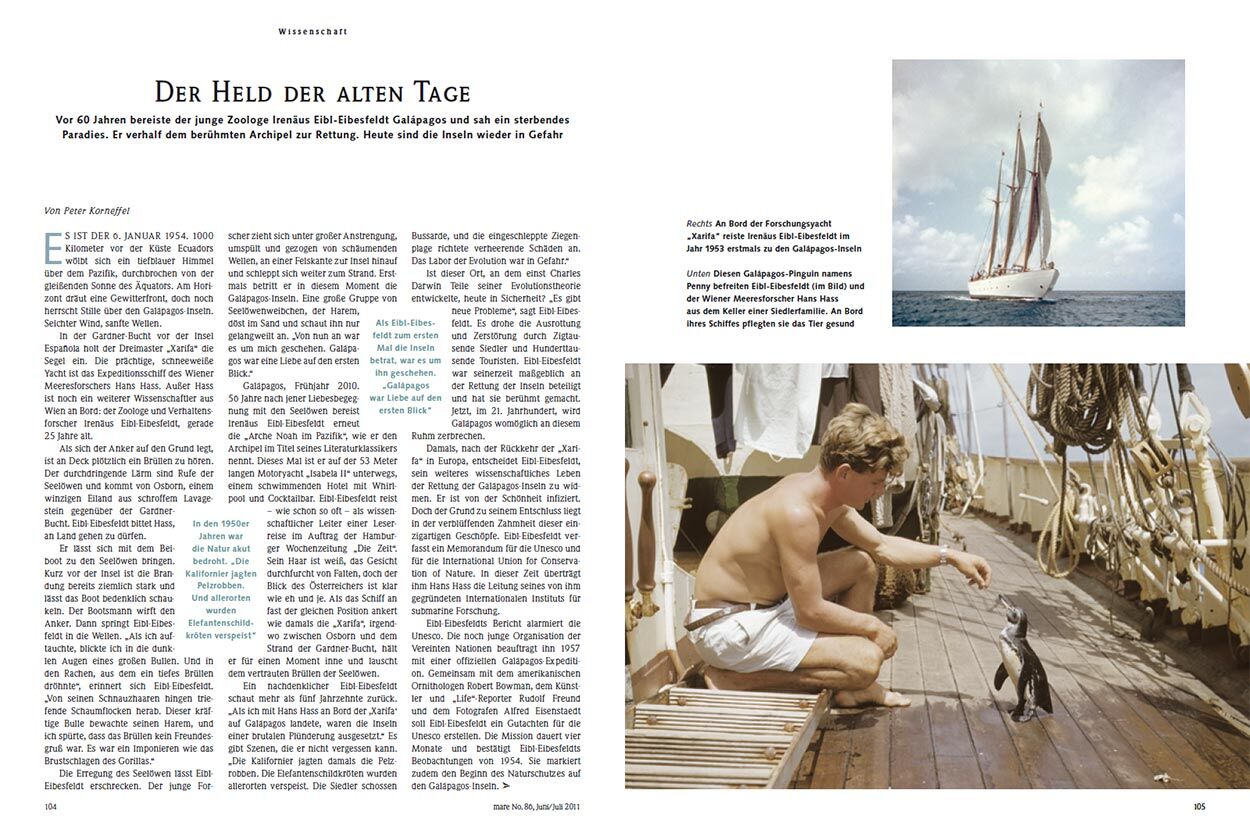 Der Held der alten Tage