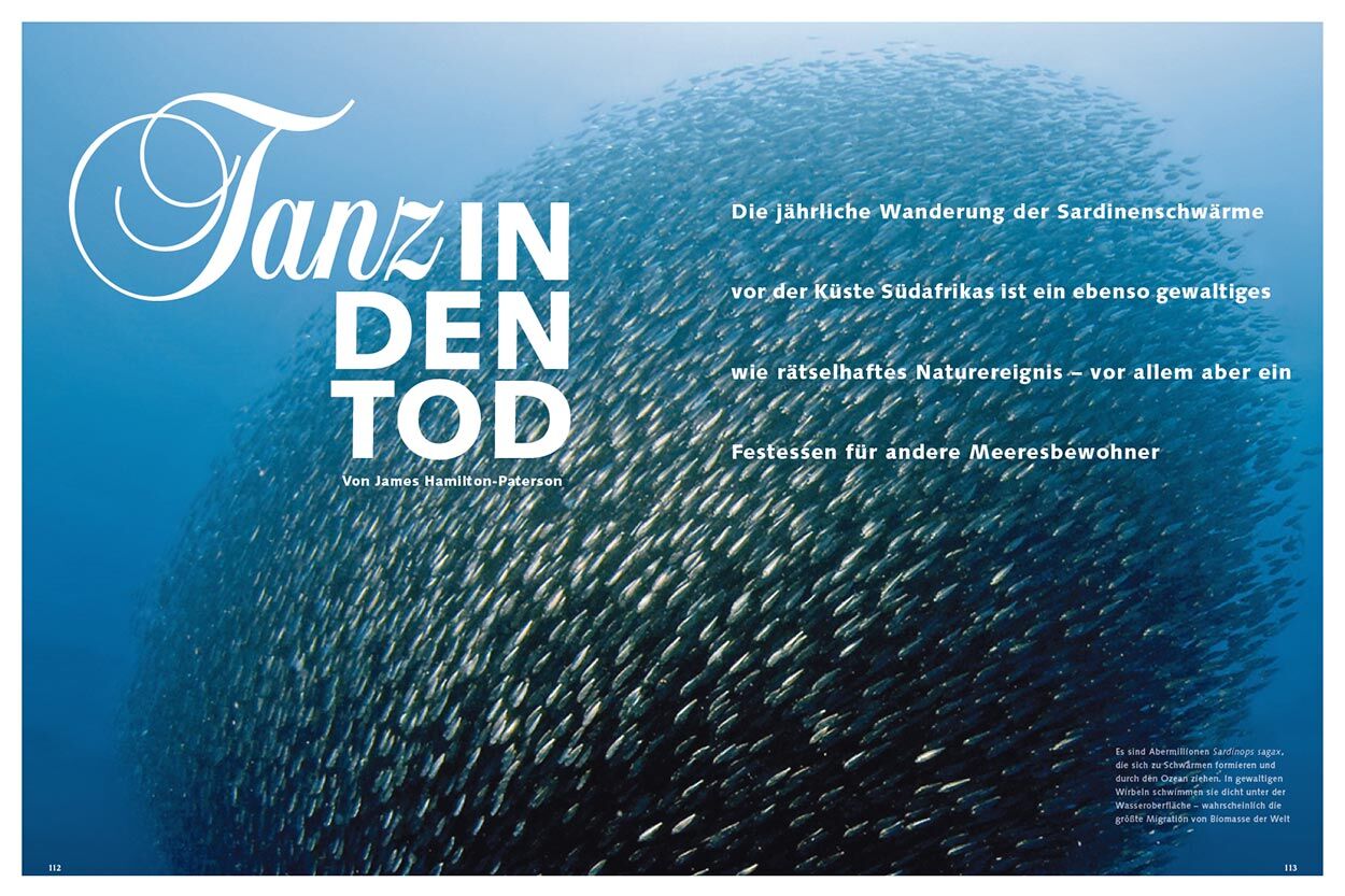 Tanz in den Tod