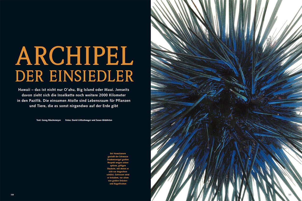Archipel der Einsiedler