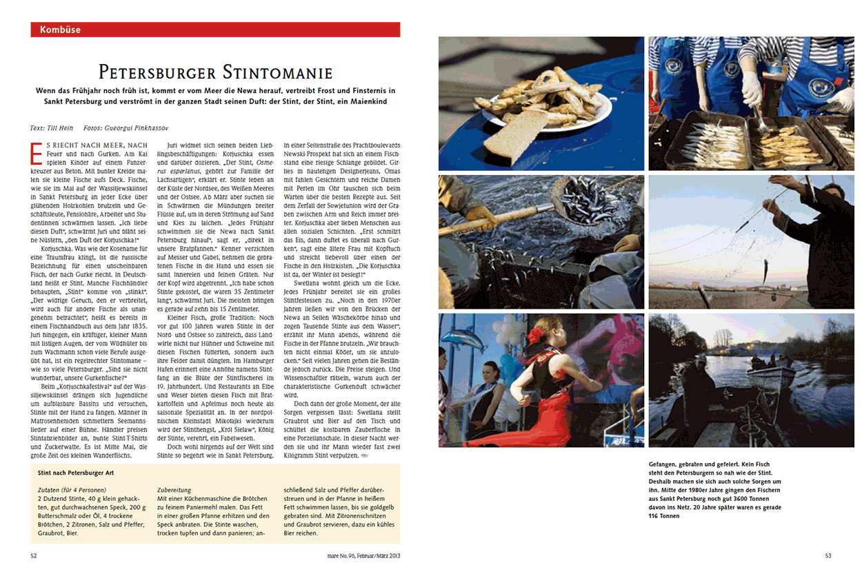 Petersburger Stintomanie