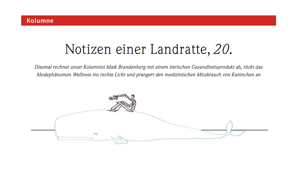 Notizen einer Landratte, 20.