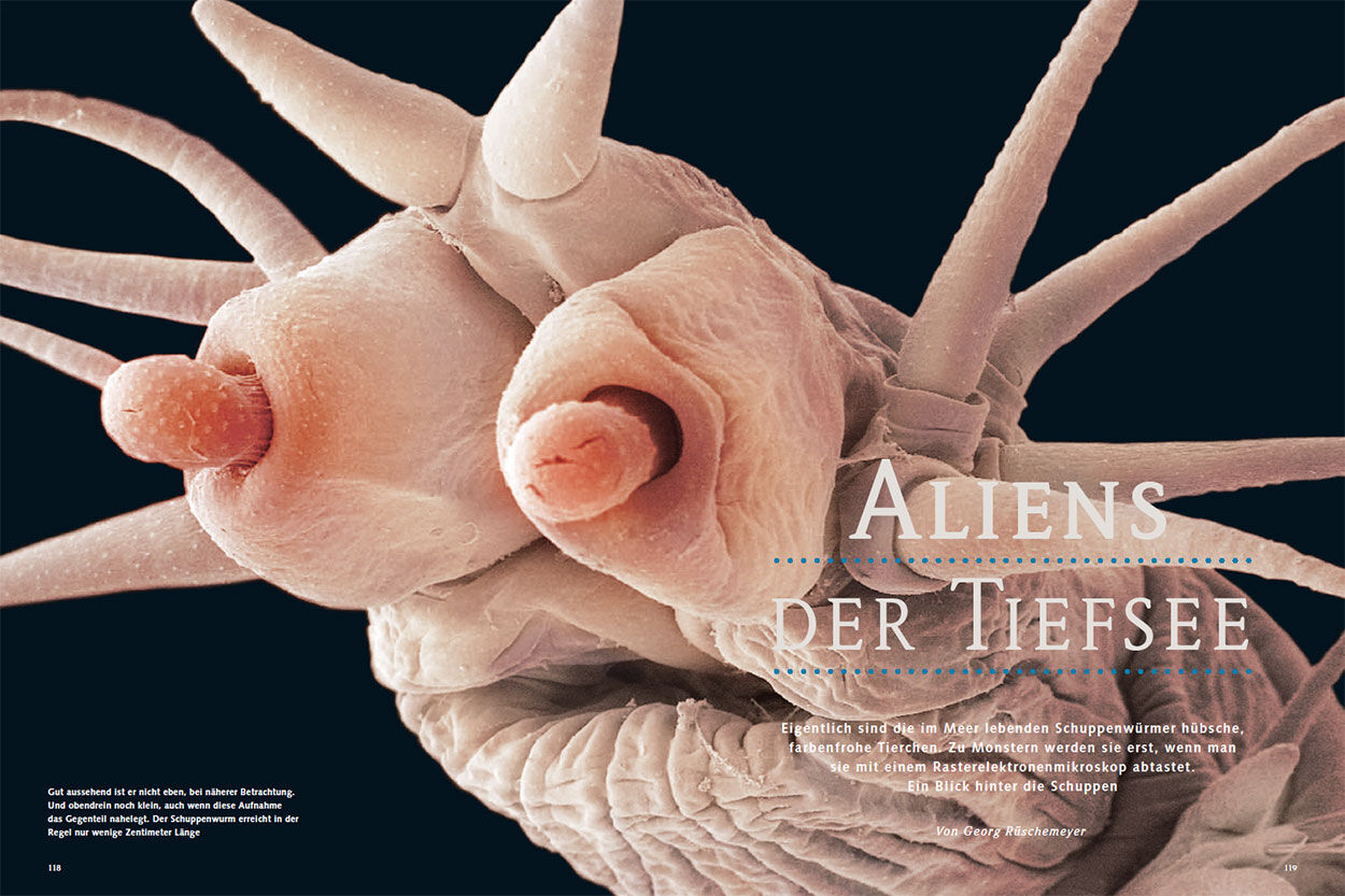Aliens der Tiefsee