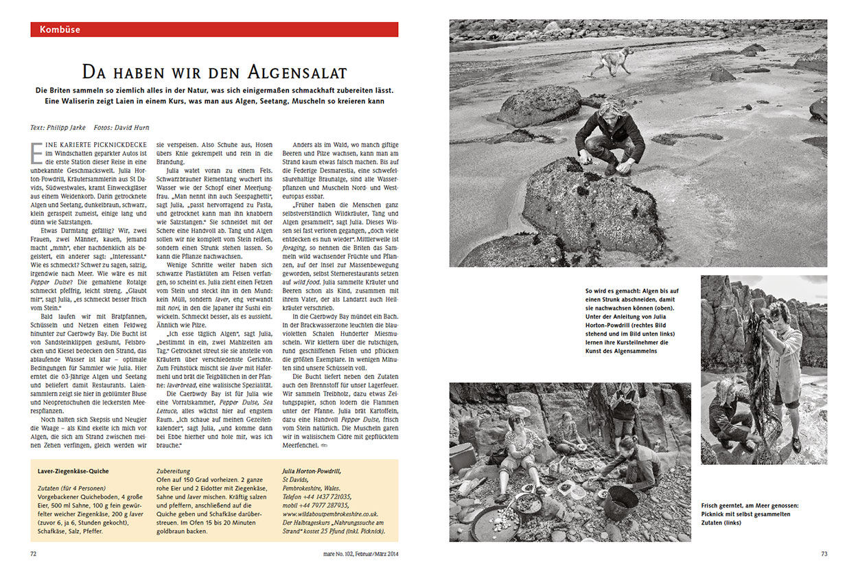 Da haben wir den Algensalat