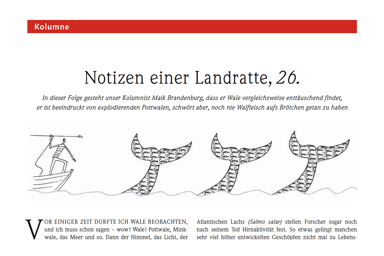 Notizen einer Landratte, 26.