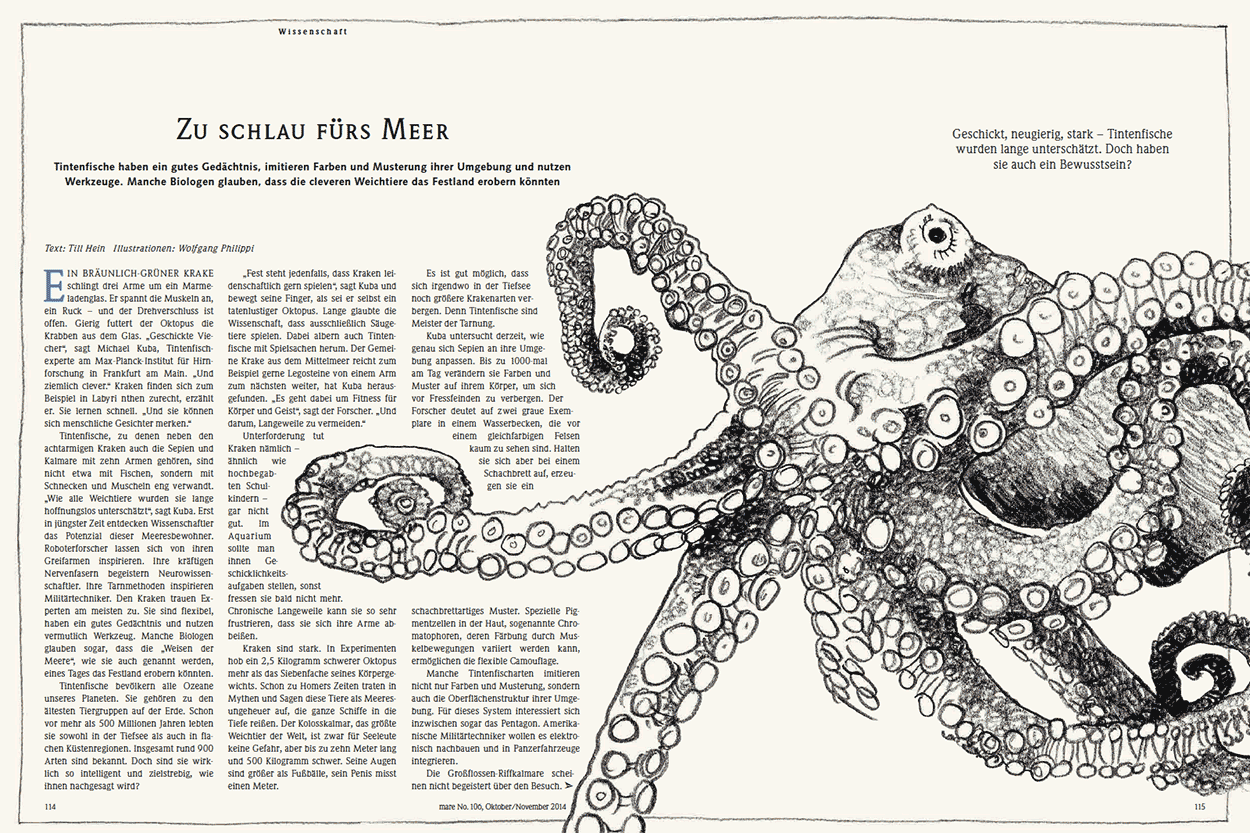 Zu schlau fürs Meer