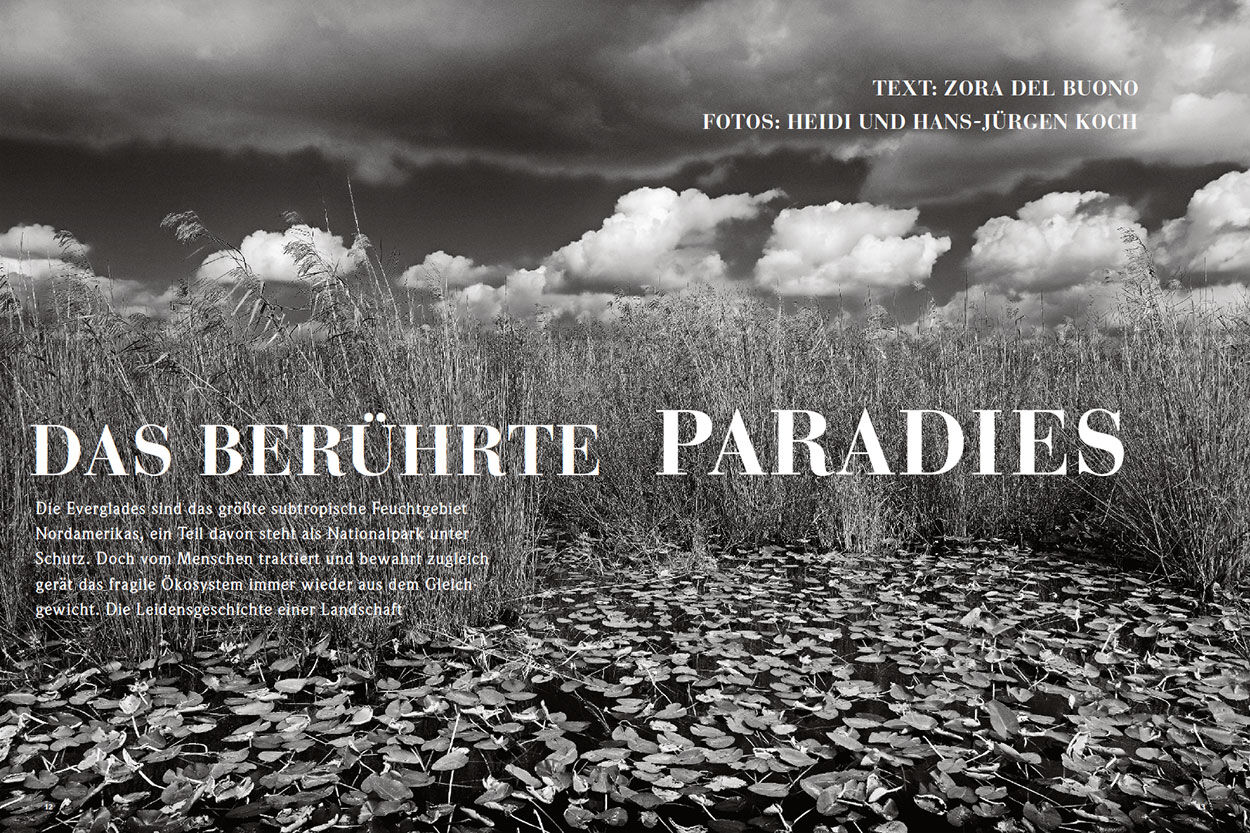 Das berührte Paradies