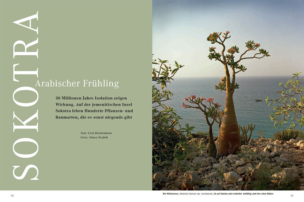 Arabischer Frühling