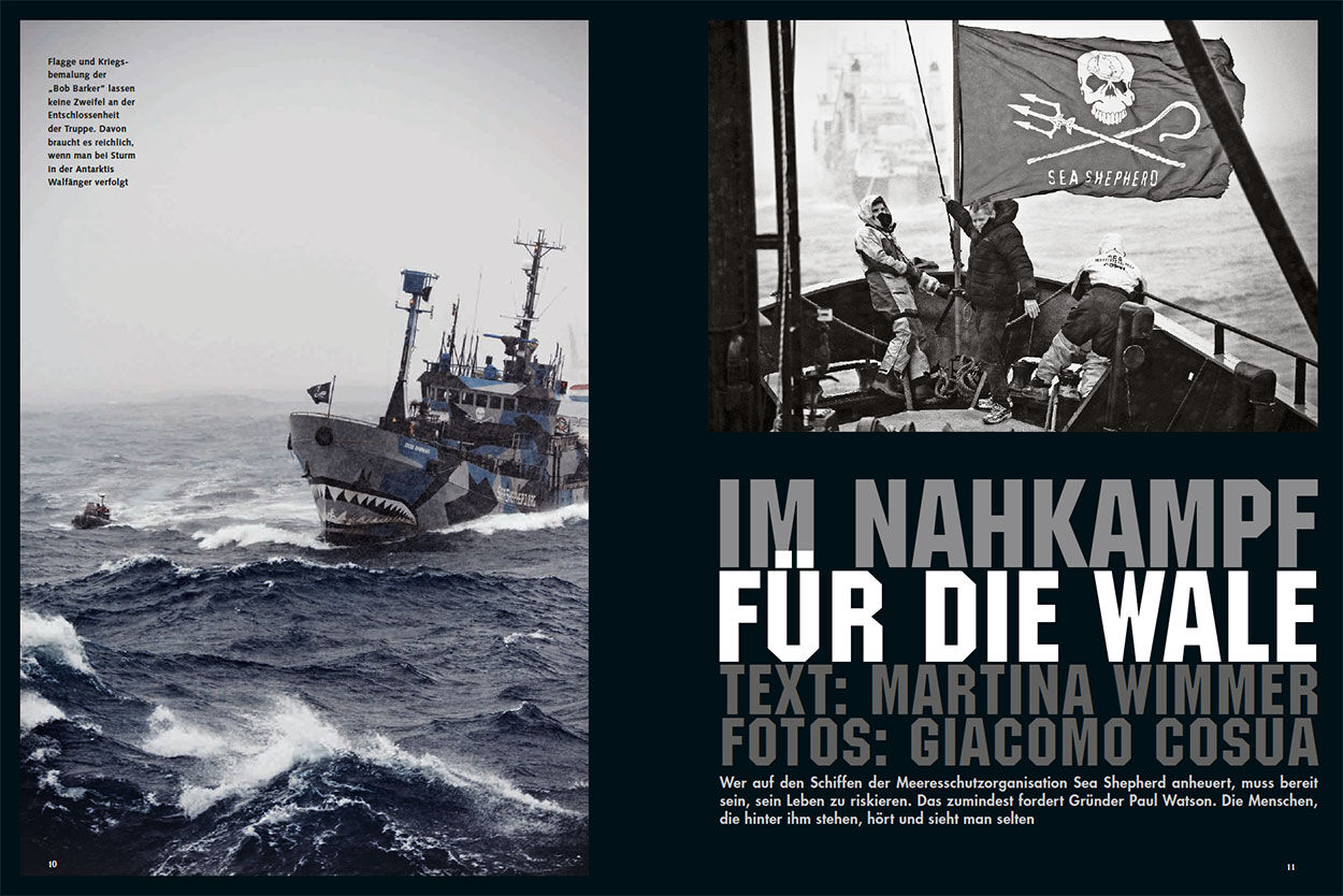 Im Nahkampf für die Wale