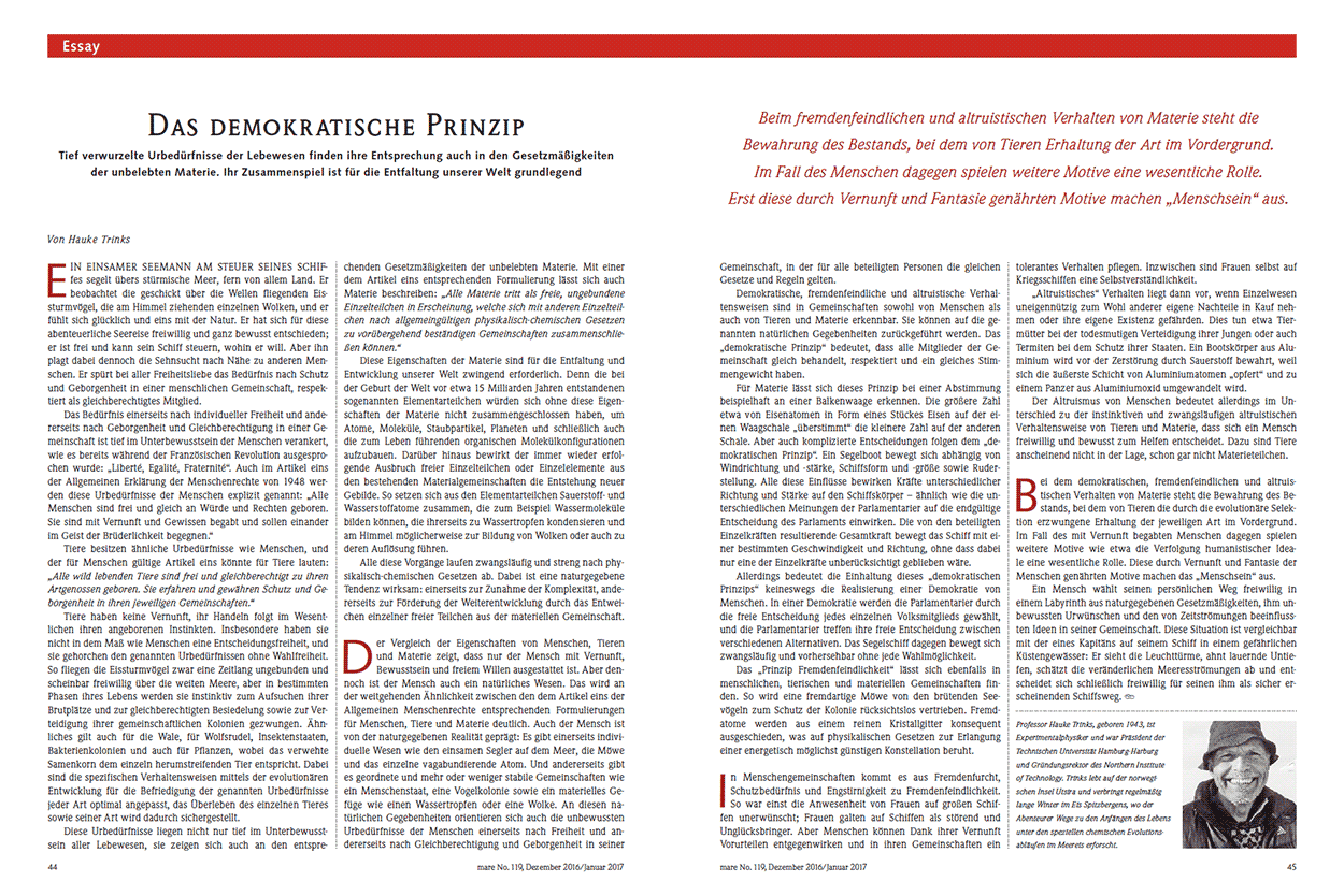 Das demokratische Prinzip