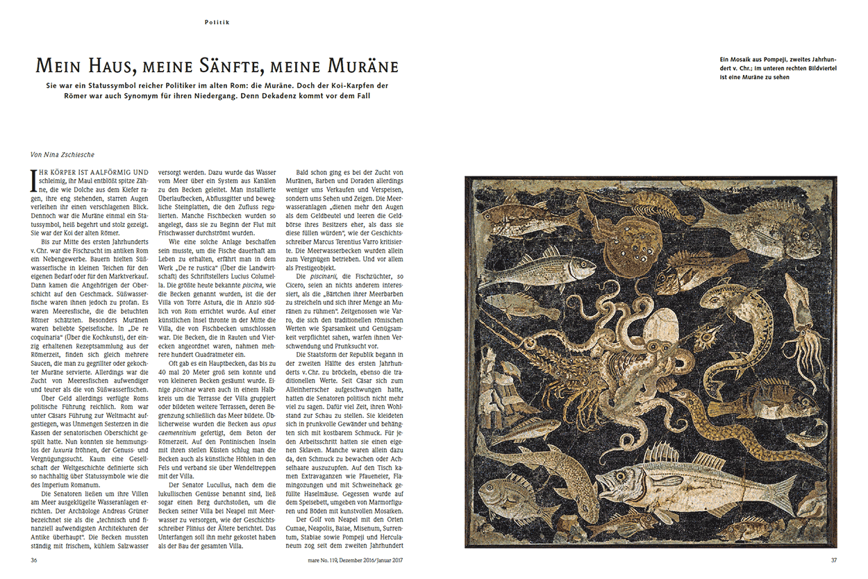 Mein Haus, meine Sänfte, meine Muräne