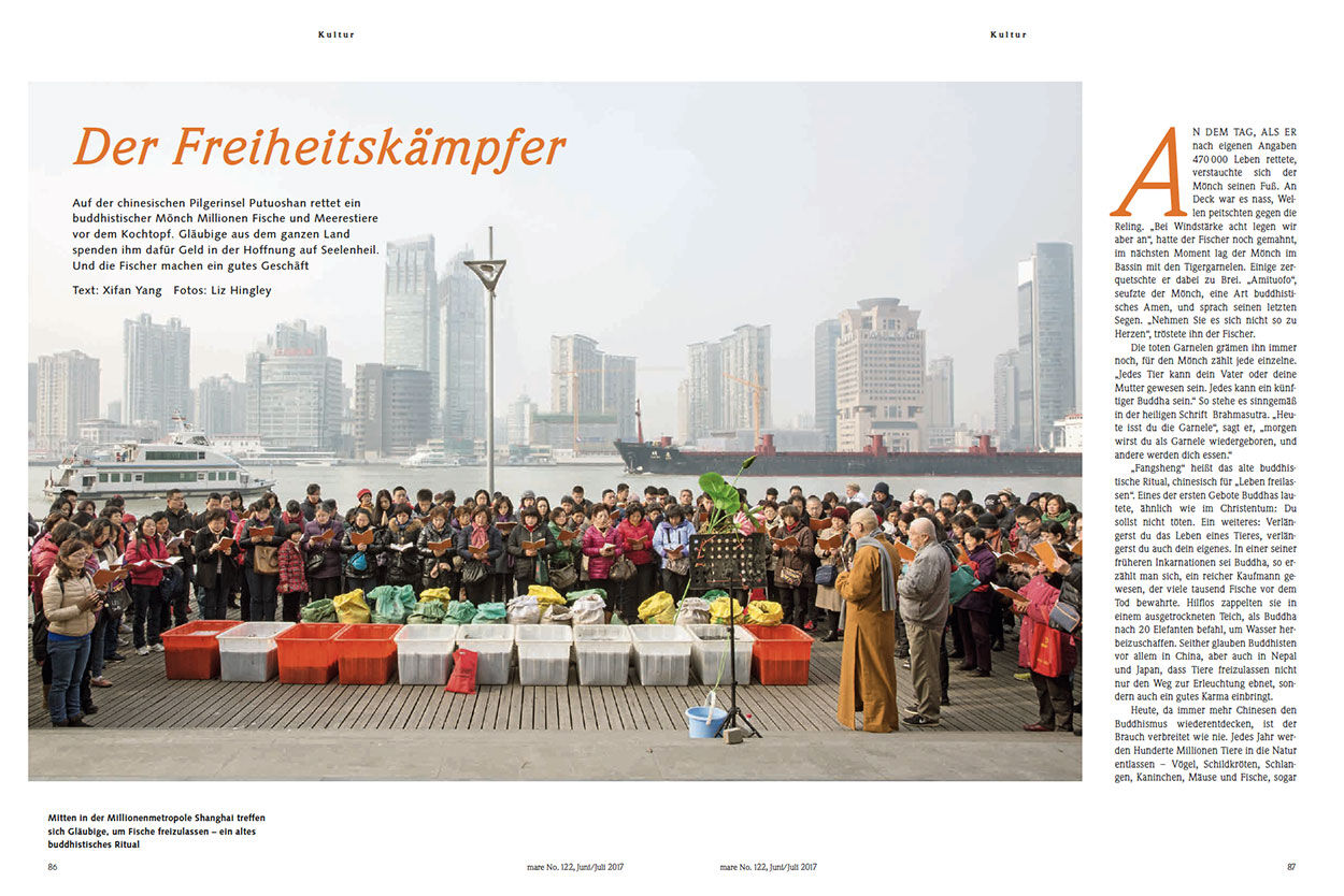 Der Freiheitskämpfer