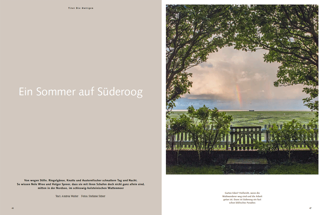 Ein Sommer auf Süderoog