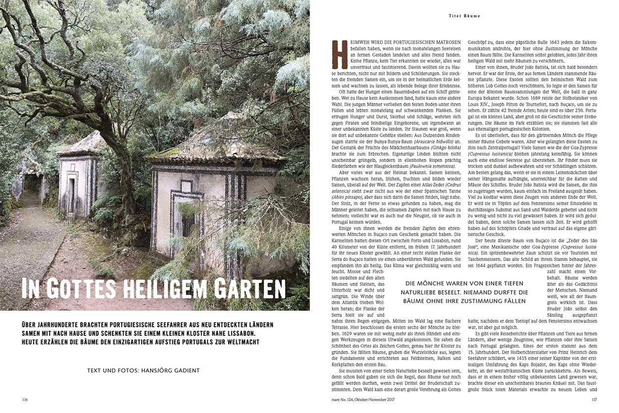 In Gottes heiligem Garten