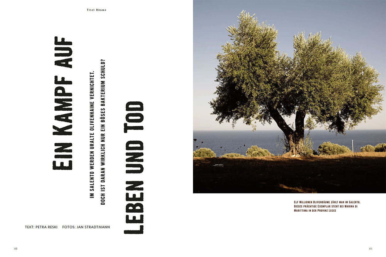 Ein Kampf auf Leben und Tod