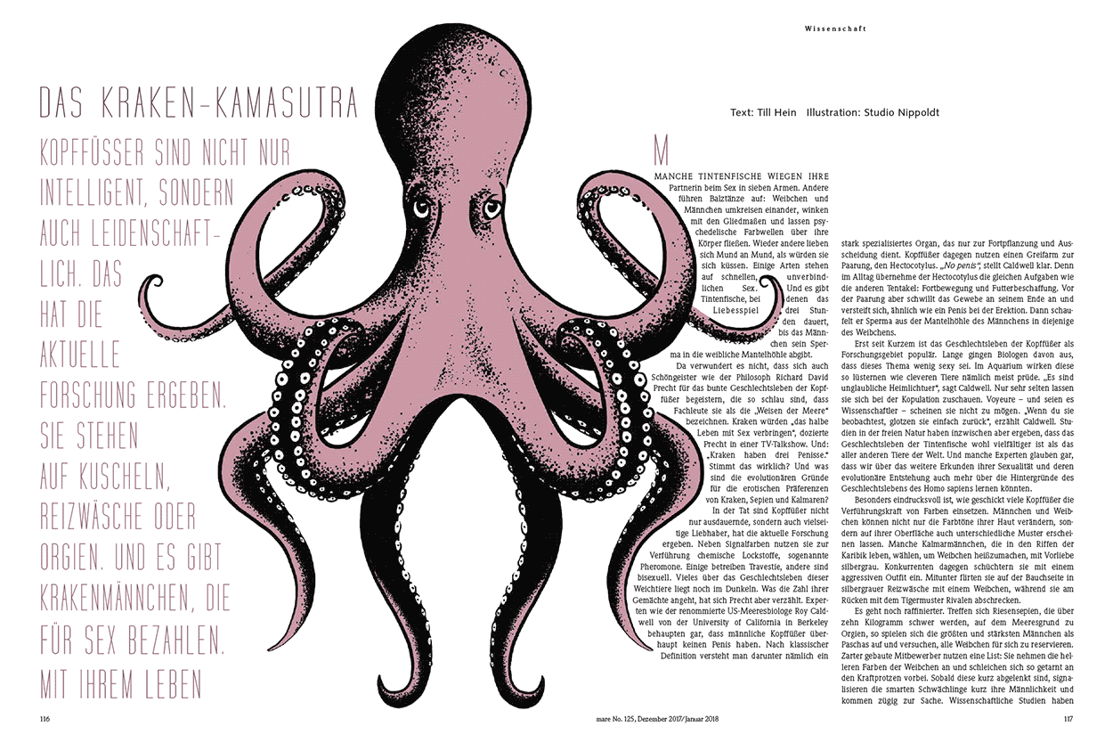 Das Kraken-Kamasutra