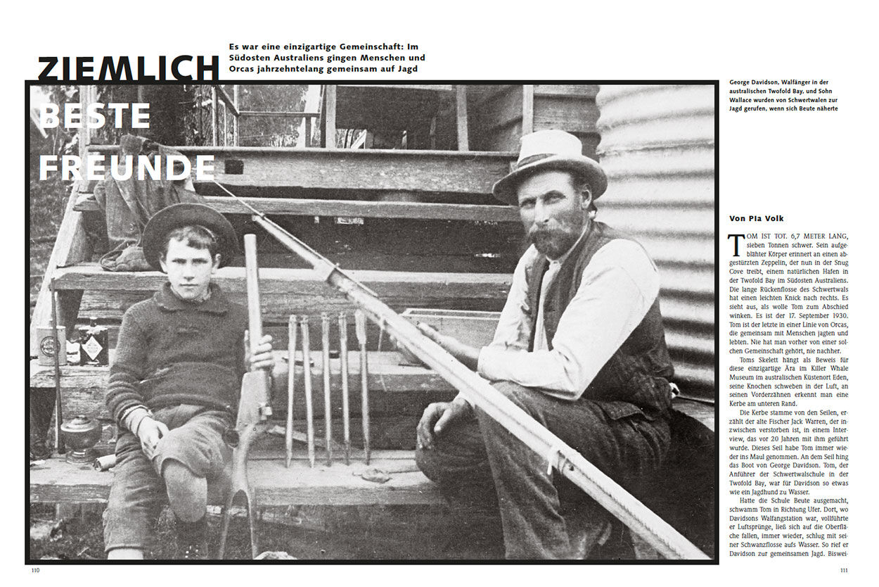 Ziemlich beste Freunde