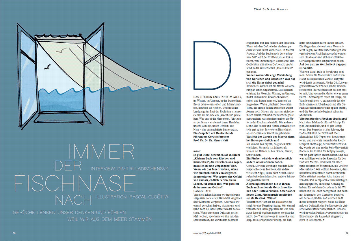 Immer der Fischnase nach