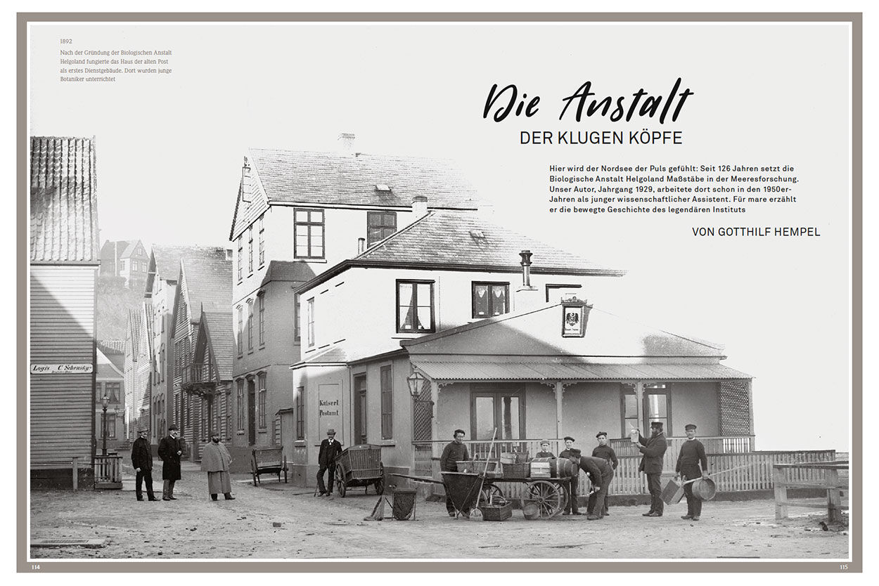 Die Anstalt der klugen Köpfe