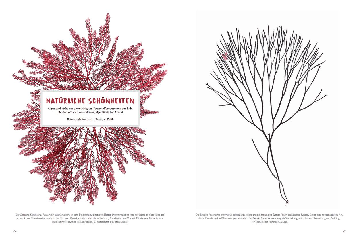 Natürliche Schönheiten
