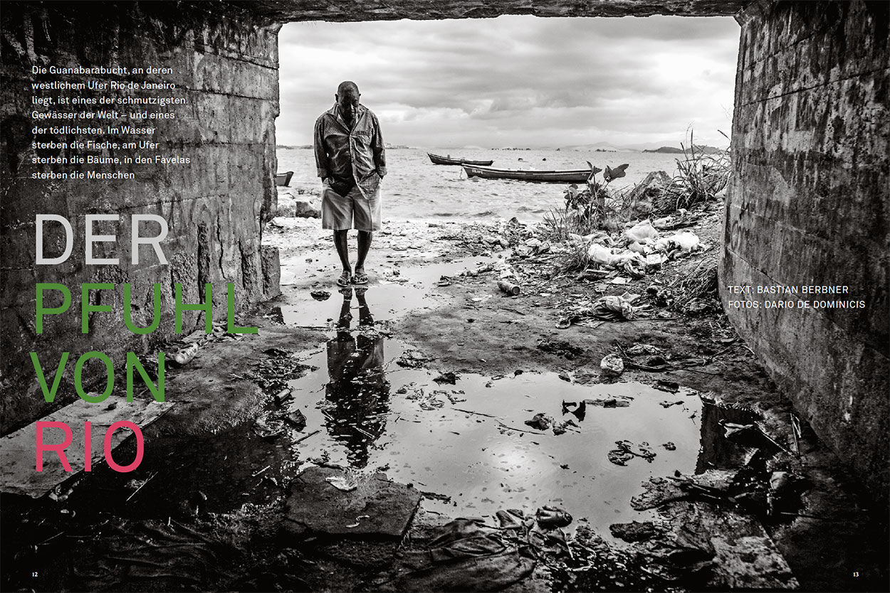 Der Pfuhl von Rio