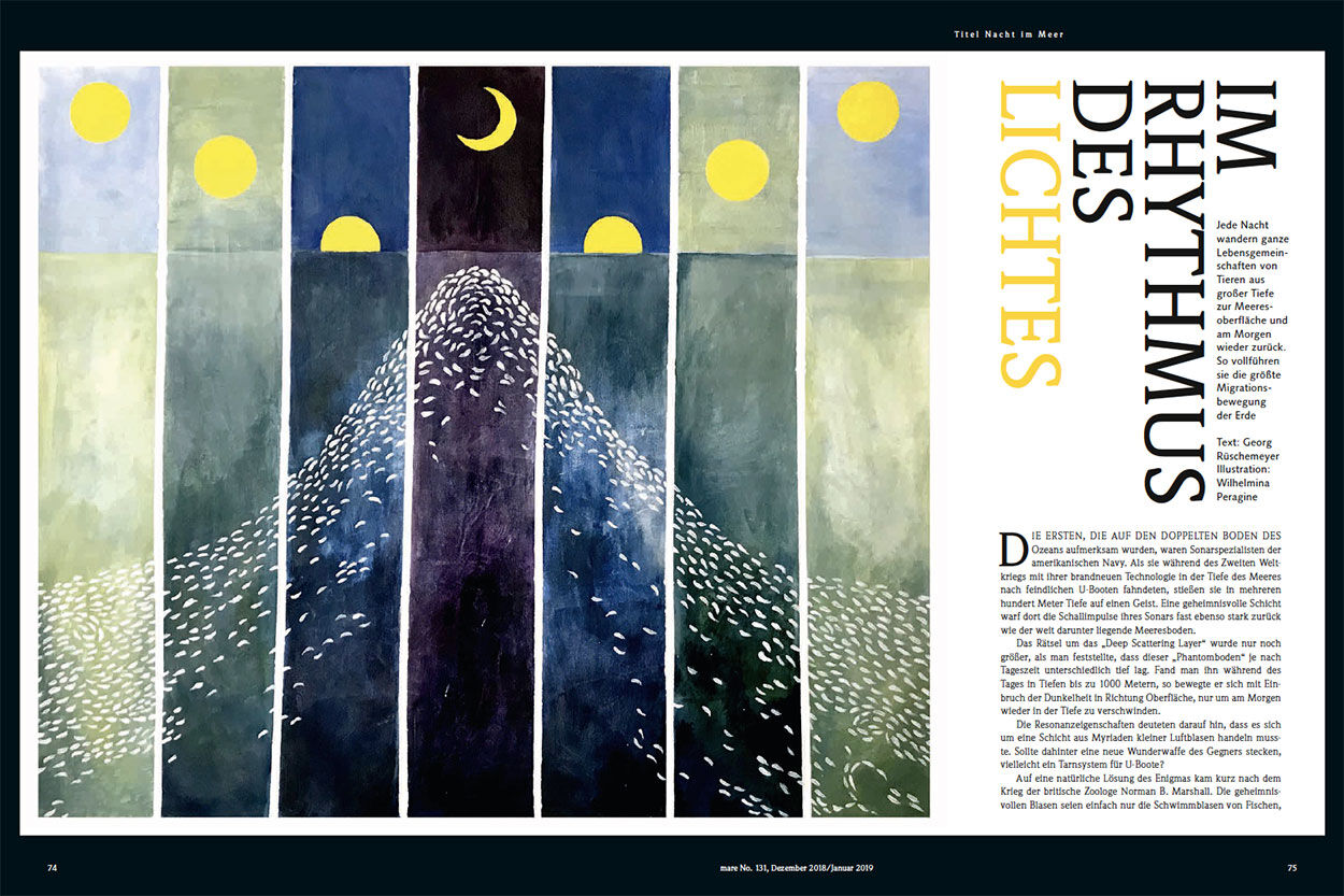 Im Rhythmus des Lichtes