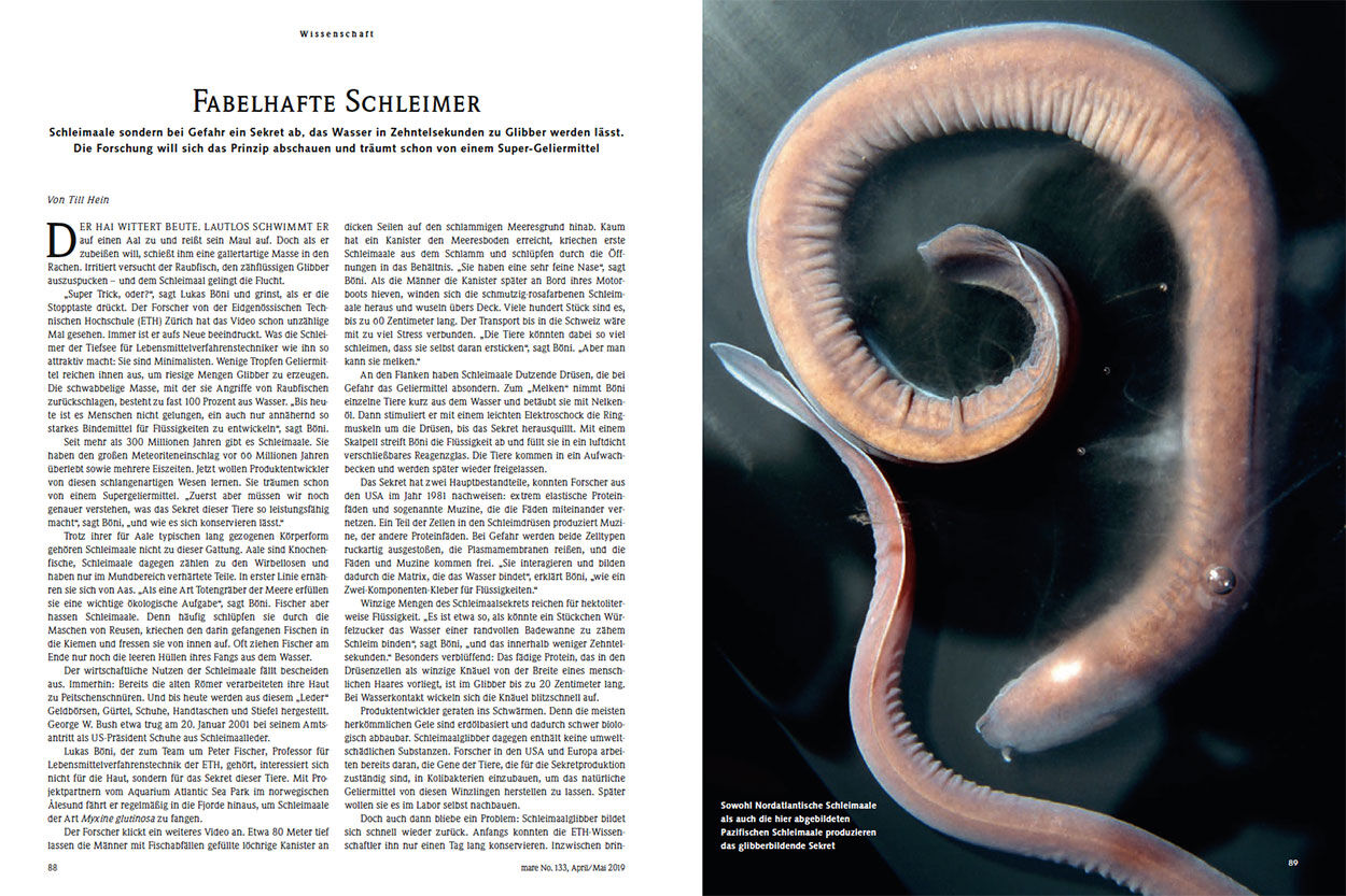 Fabelhafte Schleimer