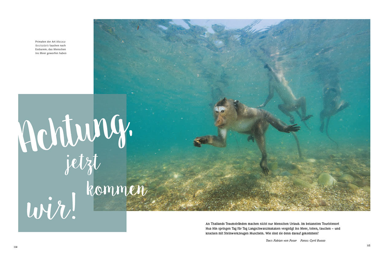 Achtung, jetzt kommen wir!