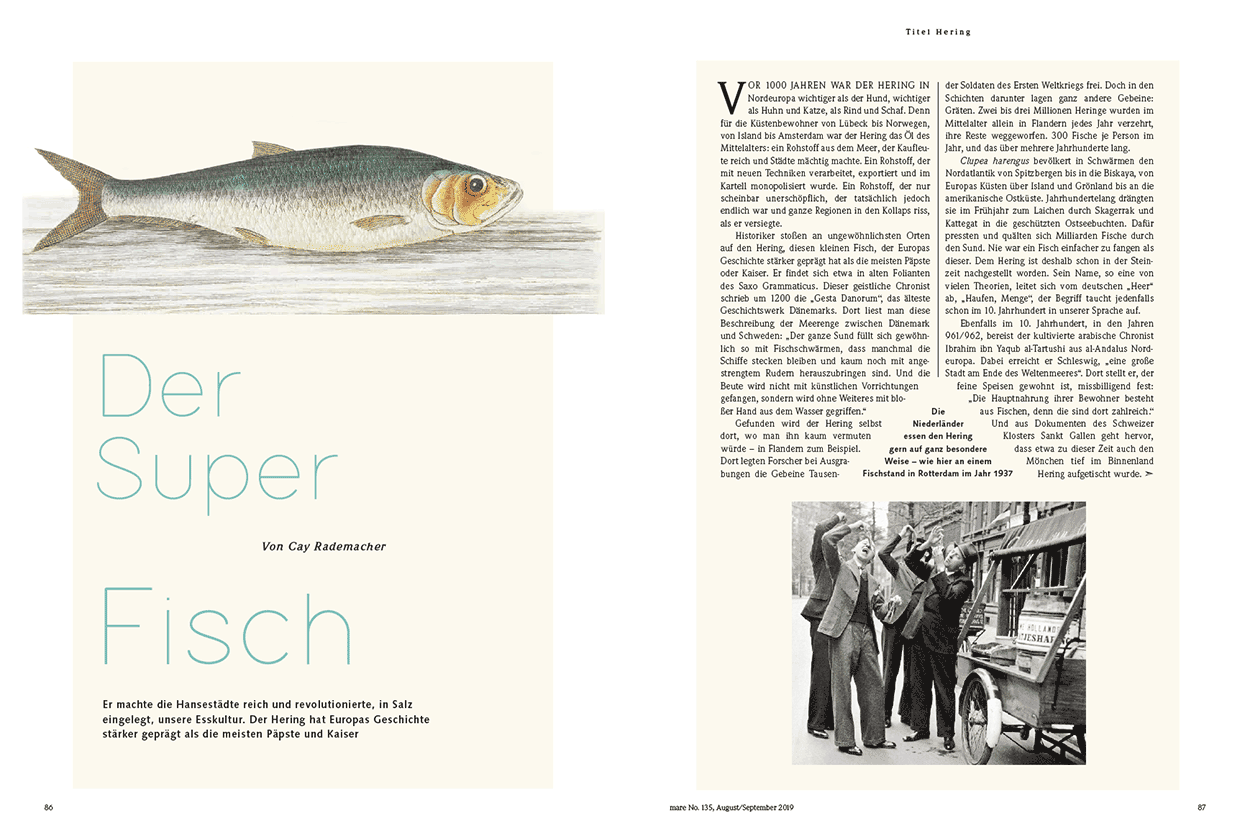 Der Superfisch
