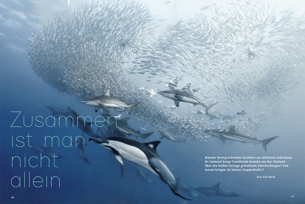 Zusammen ist man nicht allein