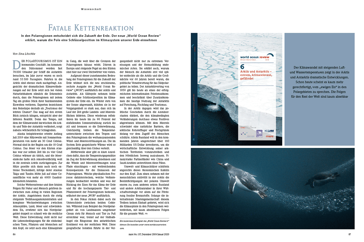 Fatale Kettenreaktion