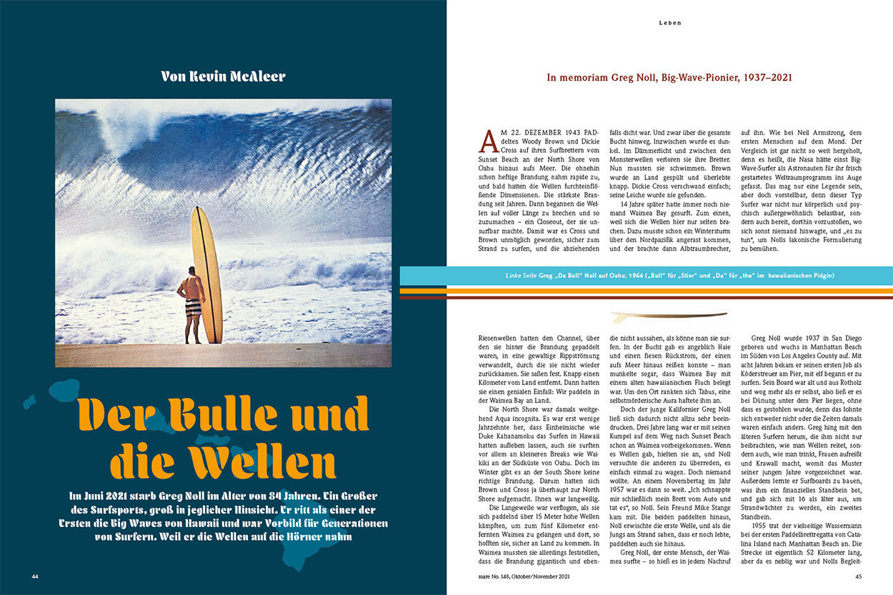 Der Bulle und die Wellen