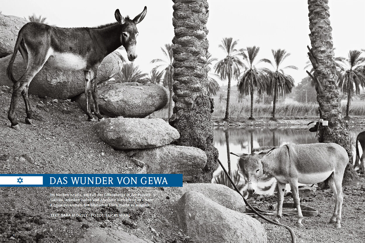 Israel: das Wunder von Gewa