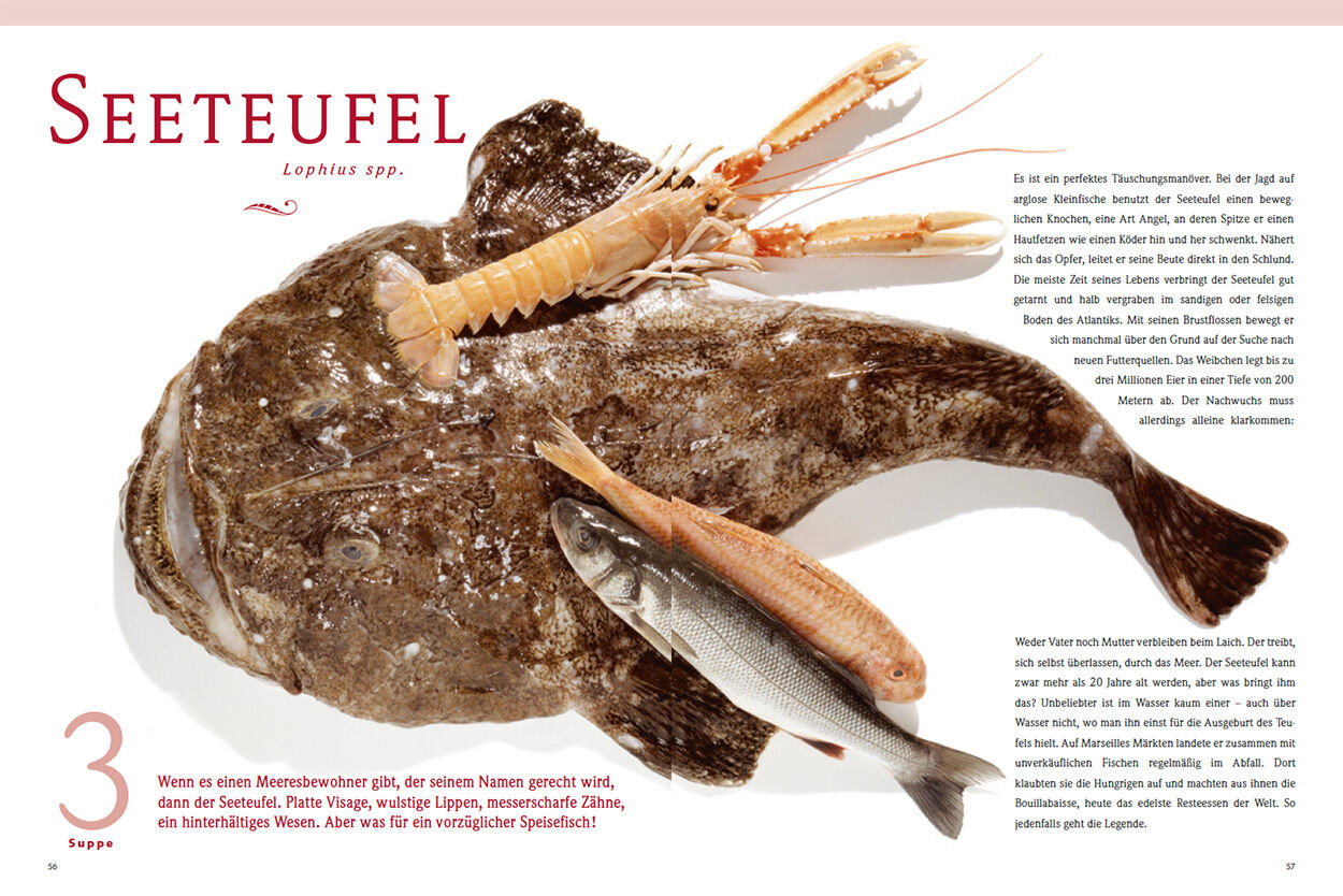 Seeteufel