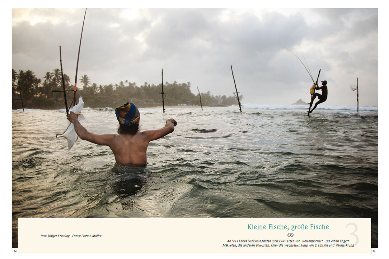 Kleine Fische, grosse Fische