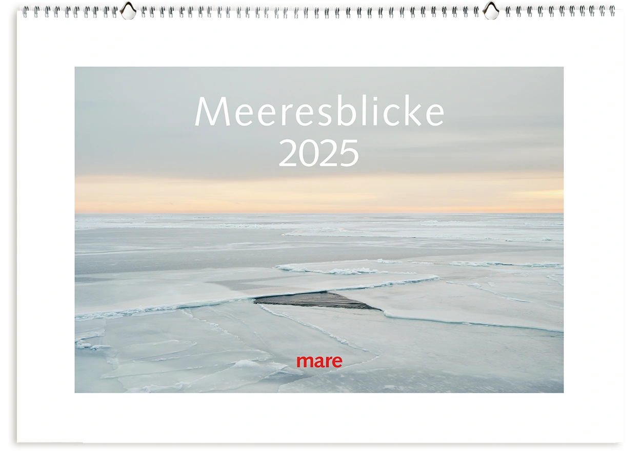 Meeresblicke 2025