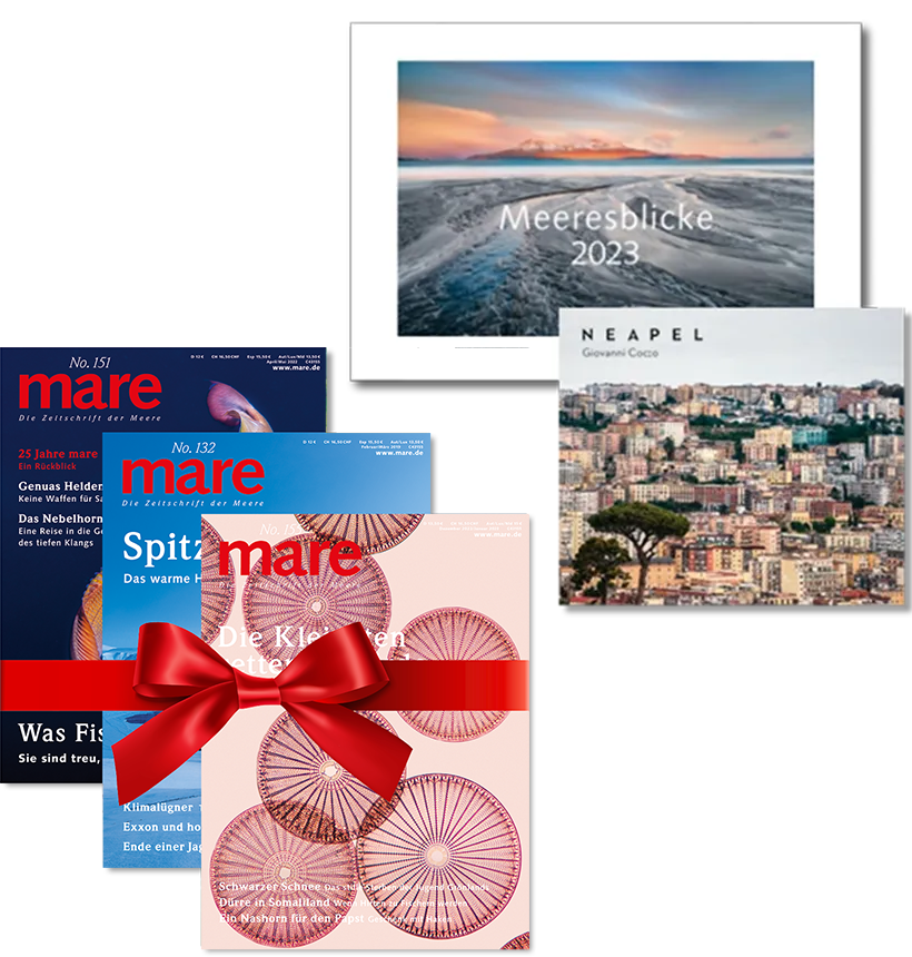 mareverlag Zeitschrift, Bücher & mehr