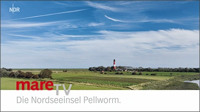 mare TV Pellworm