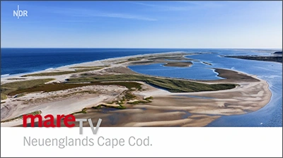mare TV Cape Cod
