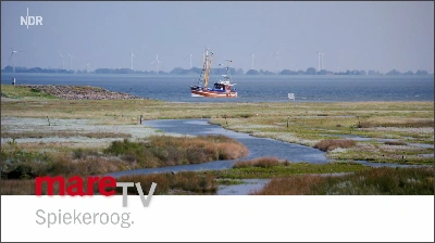 mare TV Spiekeroog