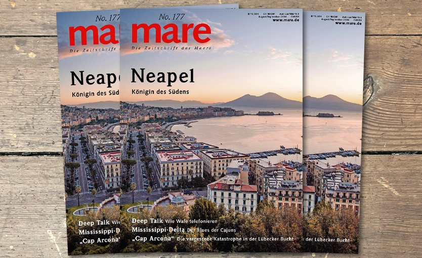 Heft News